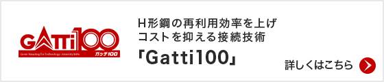 gatti100